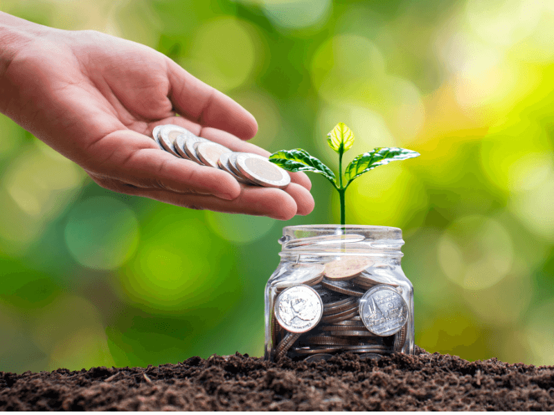 Jar of coins on a bed of earth with a plant growing out the top. A hand is pouring more coins into the jar.