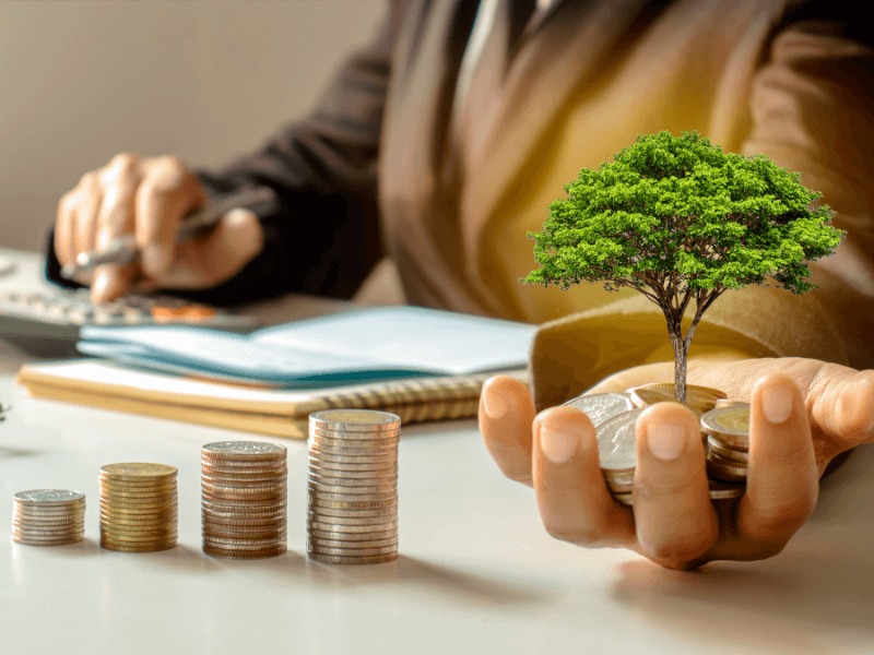 Person at desk counting coins and holding small tree in hand