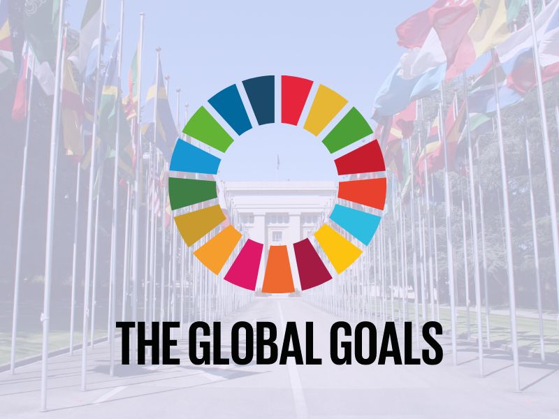 The entrance of the United Nations headquarters lined with flags of the world. Overlayed is the global goals pie chart.