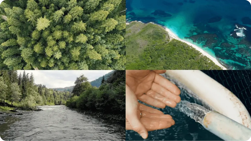 Four scenes depicting sustainable imagery.